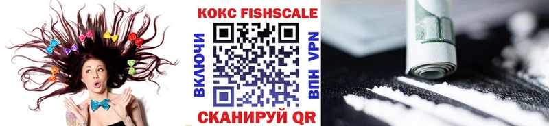 kraken как войти  Армянск  Cocaine Fish Scale 