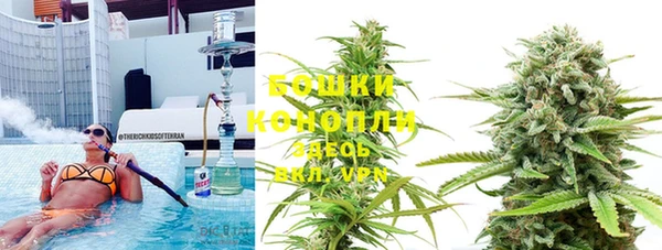 твердый Аркадак